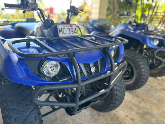 Yamaha Grizzly 350